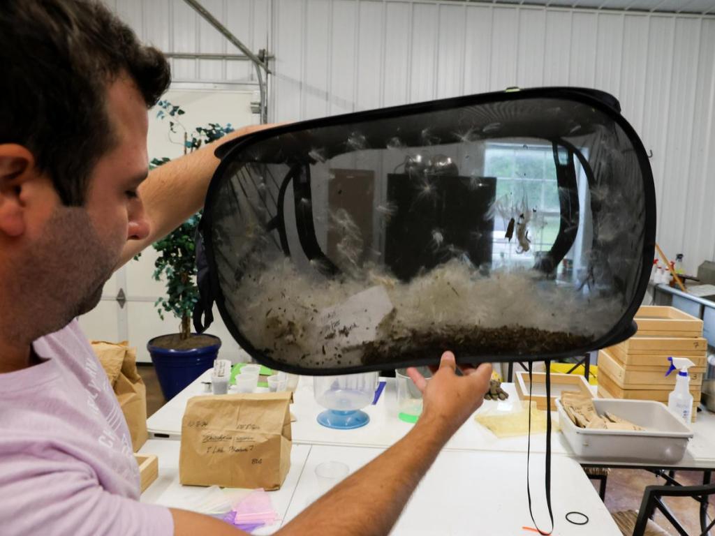 Euchee Butterfly Farm botanist Collin Spriggs, a Cherokee Nation citizen, shows off seeds during a tour of the nonprofit's seed bank on May 21, 2026. 