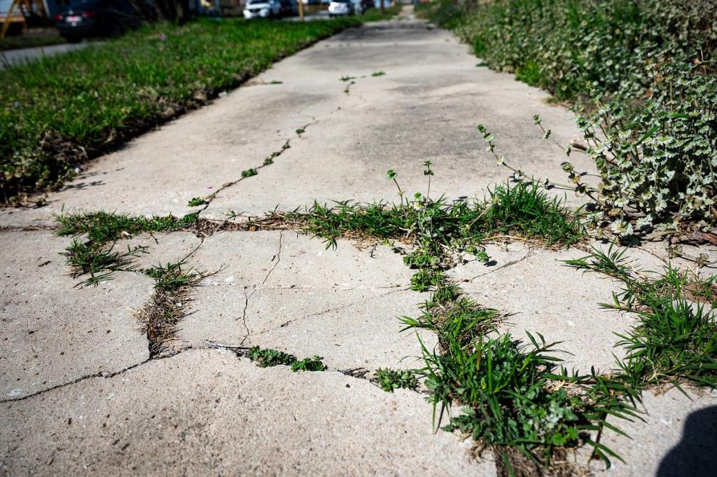 Sidewalk damage in west Tulsa is photographed on Friday, March 13, 2026.
