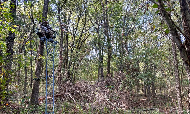 A bow hunter waits in a tree stand near Vian, Oklahoma Oct. 11, 2025.