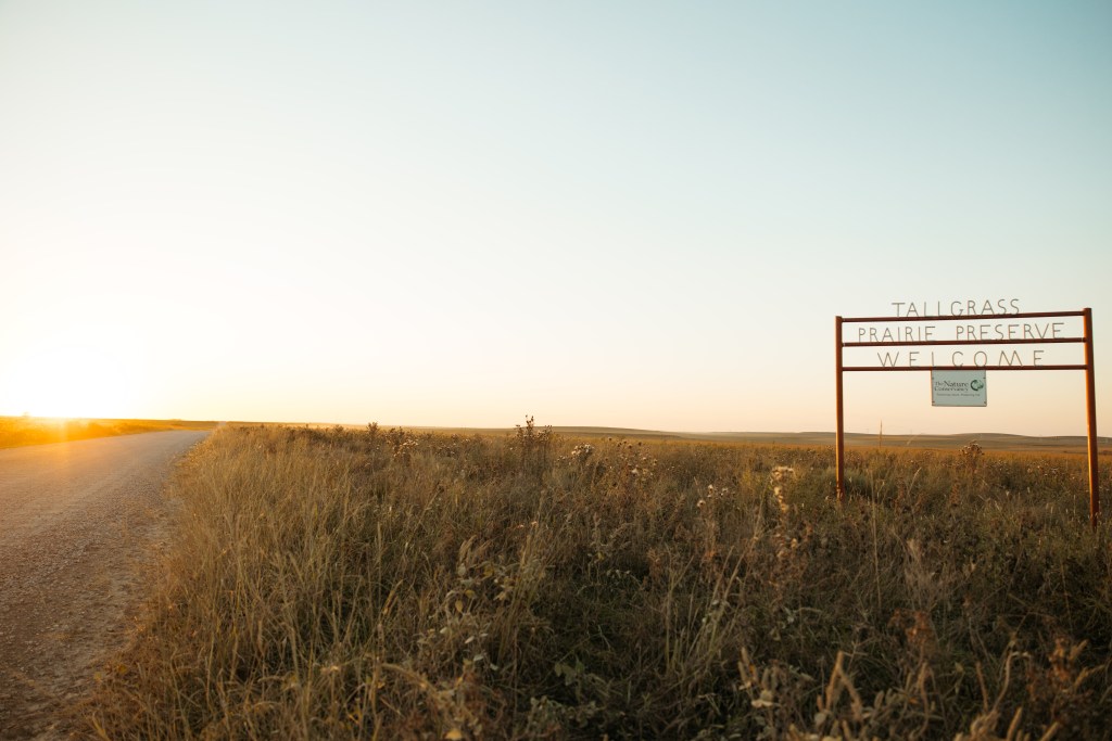 The sun over the Joseph H. Williams Tallgrass Prairie Reserve in Osage County, Oklahoma on Oct. 11, 2025.