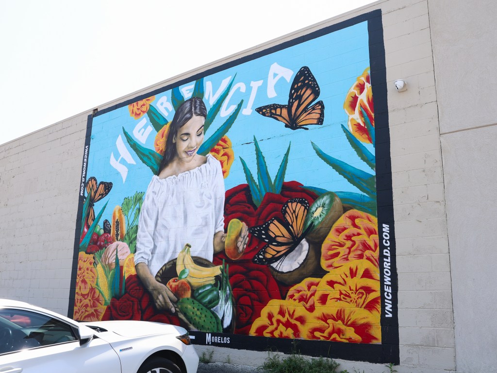 Local artist VNICE World, whose family migrated to Tulsa from Mexico in the early 2000s, has made the city his canvas with colorful murals at local businesses.