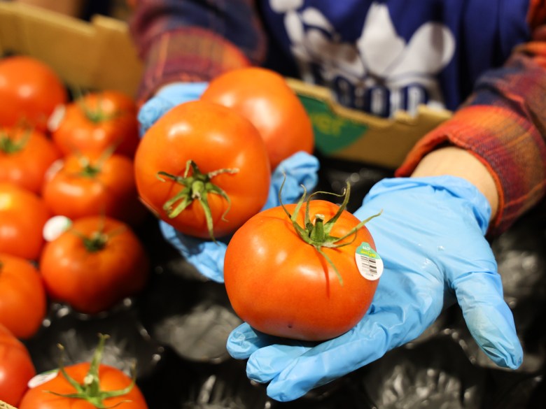 Volunteers distribute produce during Food on the Move's food festival held Oct. 28, 2025, at The Common Good.