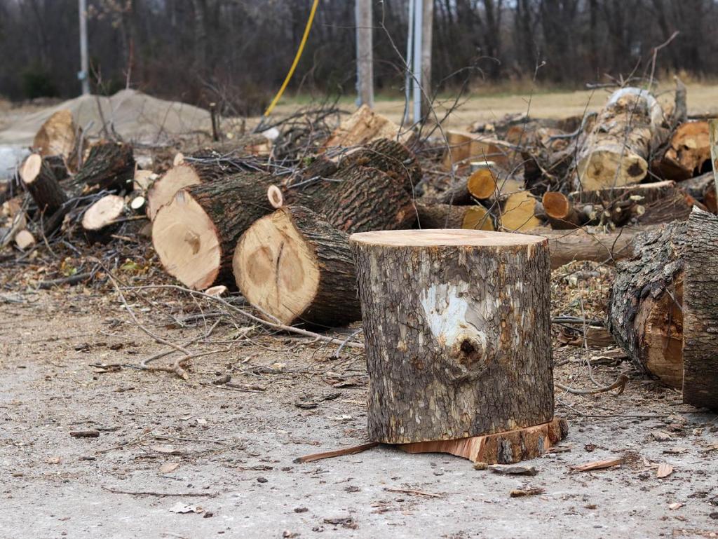 Where can Tulsans get free firewood? Chop your own at the city’s mulch site.