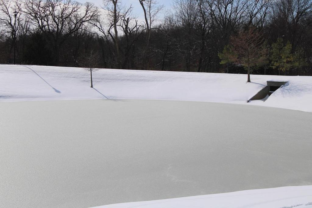 A frozen pond in south Tulsa Jan. 25, 2026.