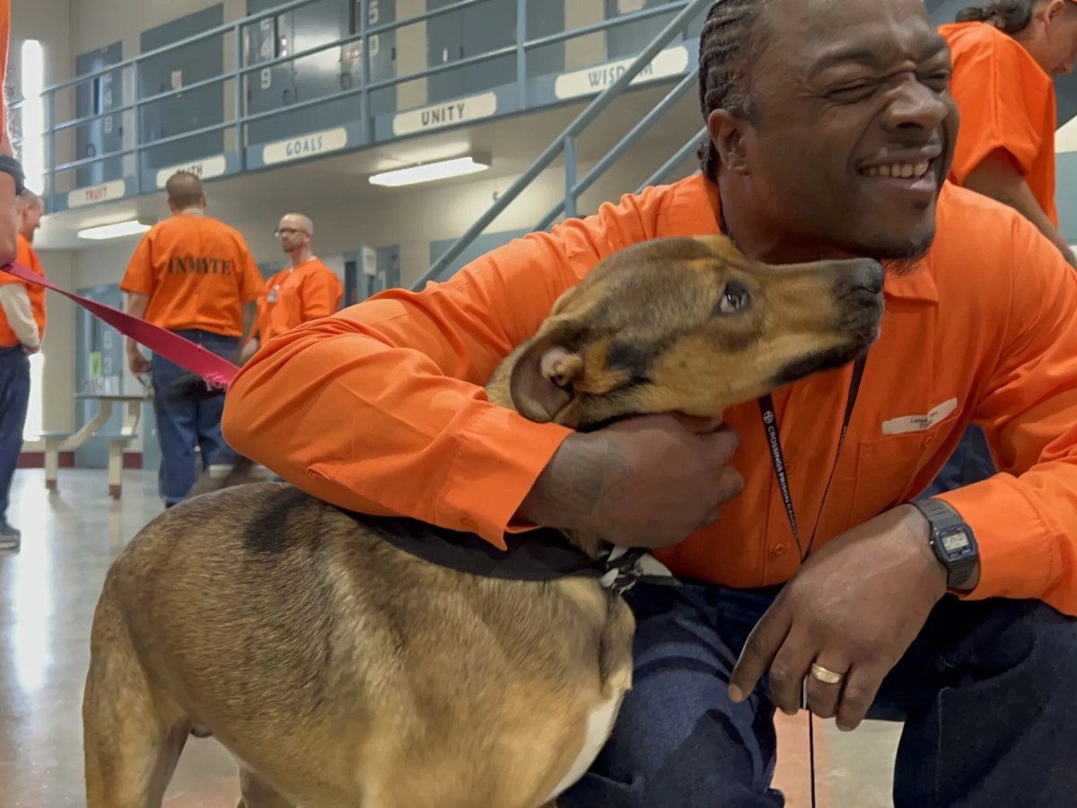 Oklahoma bill would let inmates earn good-time credits sooner while awaiting prison transfer