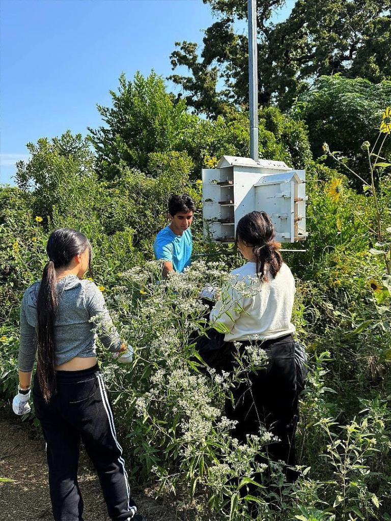 Tej Beniwal and two Jenks students clean out Purple Martin houses at Flycatcher Trail at the end of the season last fall. 