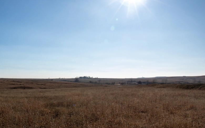 A field in Osage County on a sunny winter day.