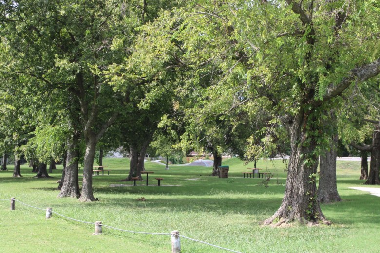 trees