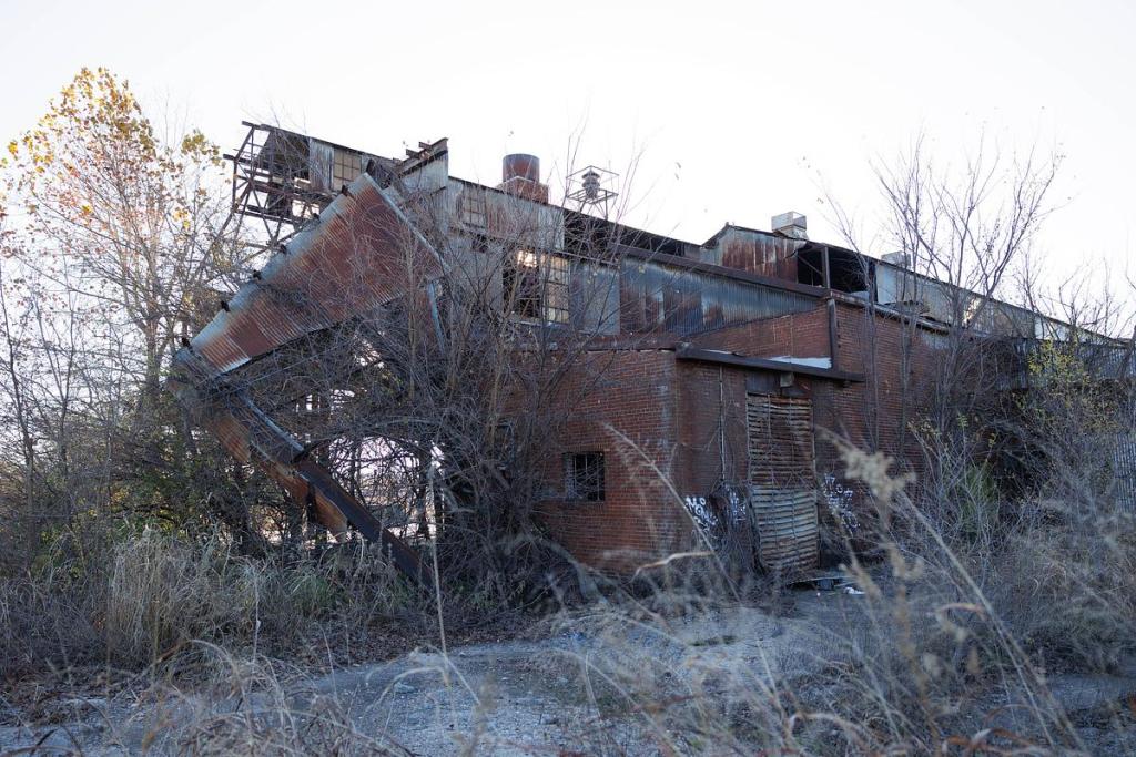 The Evans-Fintube warehouse in north Tulsa, pictured Dec. 9, 2025, is covered in graffiti and trees sprawling through its windows.