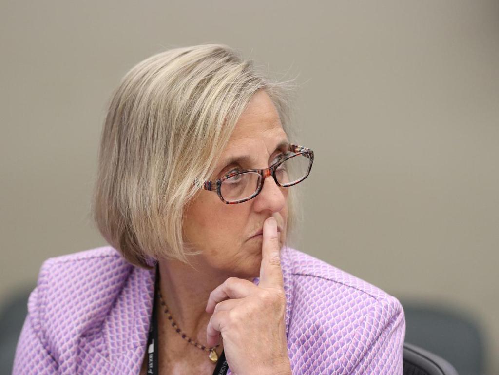 Carol Bush, District 9, at a City Council Meeting Wednesday, March 25, 2026. 