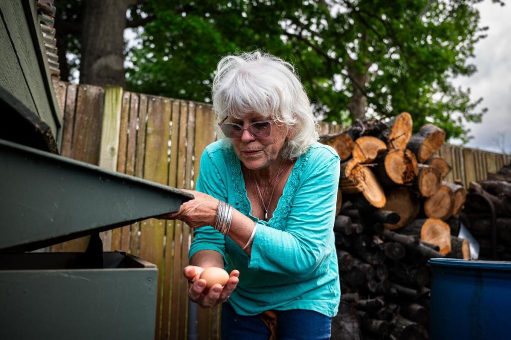 Gardener Christy Hartung collects eggs from her chicken coop in her garden on Wednesday, April 22, 2026. She started an east Tulsa gardening club to help neighbors learn how to be more self-sufficient and build community. 