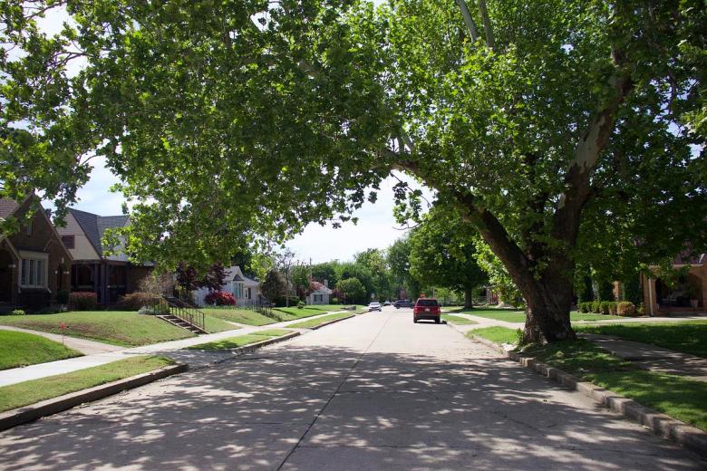 Trees line the streets of the Renaissance neighborhood in midtown Tulsa, Monday, April 20, 2026. The neighborhood has a tree equity score in the 90-100 range.