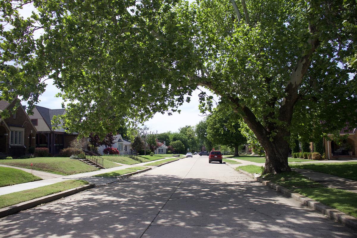 Trees line the streets of the Renaissance neighborhood in midtown Tulsa, Monday, April 20, 2026. The neighborhood has a tree equity score in the 90-100 range.