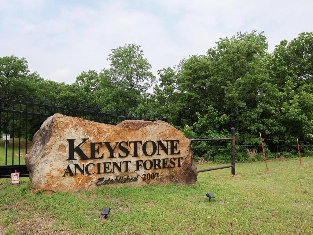 Keystone Ancient Forest, 160 Ancient Frst Dr. in Sand Springs, is open Thursday through Sunday. 