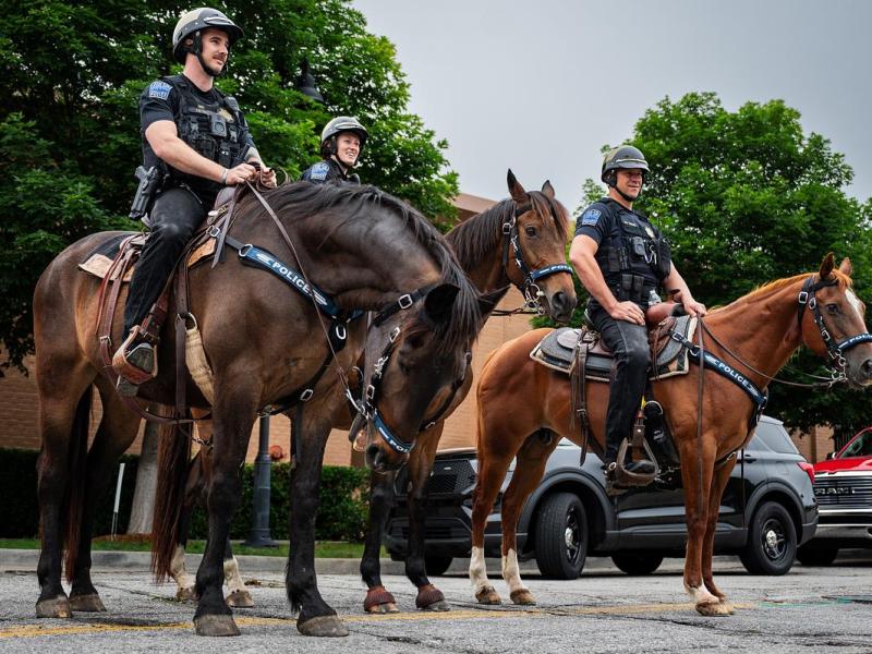 New faces in the neigh-borhood: Tulsa Police Department relaunches horse unit