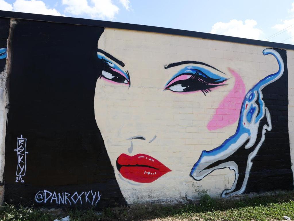 A mural created by Dan Rocky for Habit Mural Festival that can be seen on the back wall of Center for Public Secrets, 573 S. Peoria Ave.