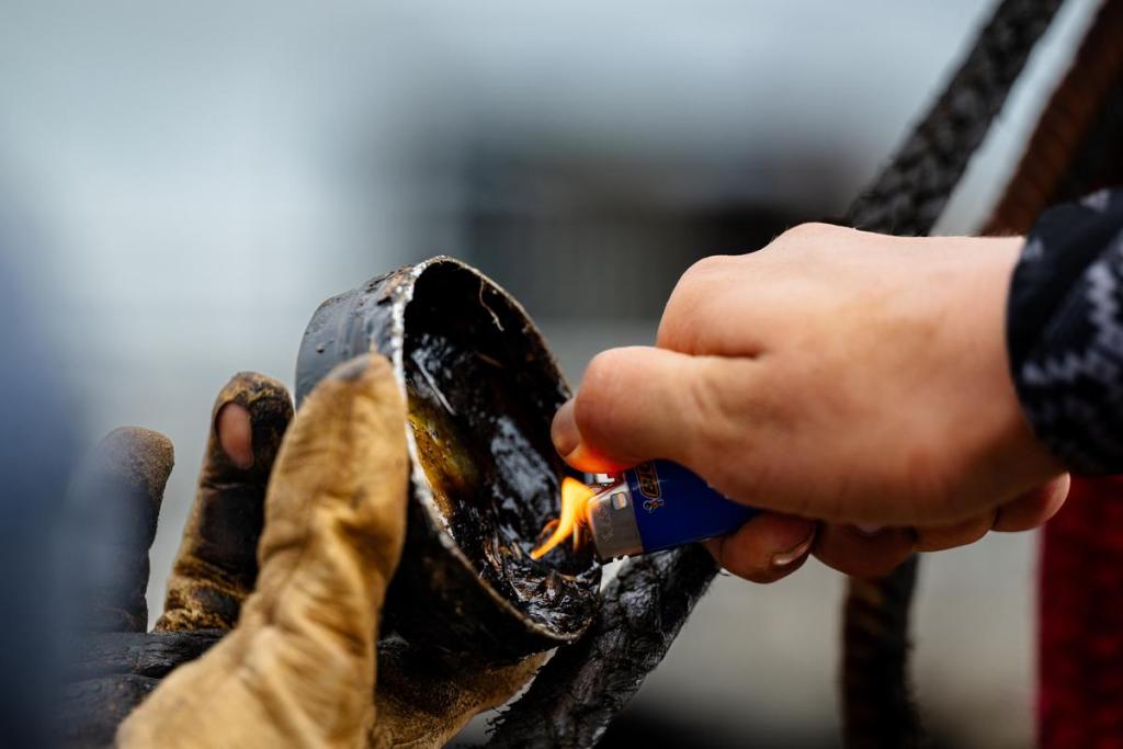 A cowboy prepares his rope before riding a bull during the Muscogee Nation Festival in Okmulgee on Thursday, June 25, 2026.