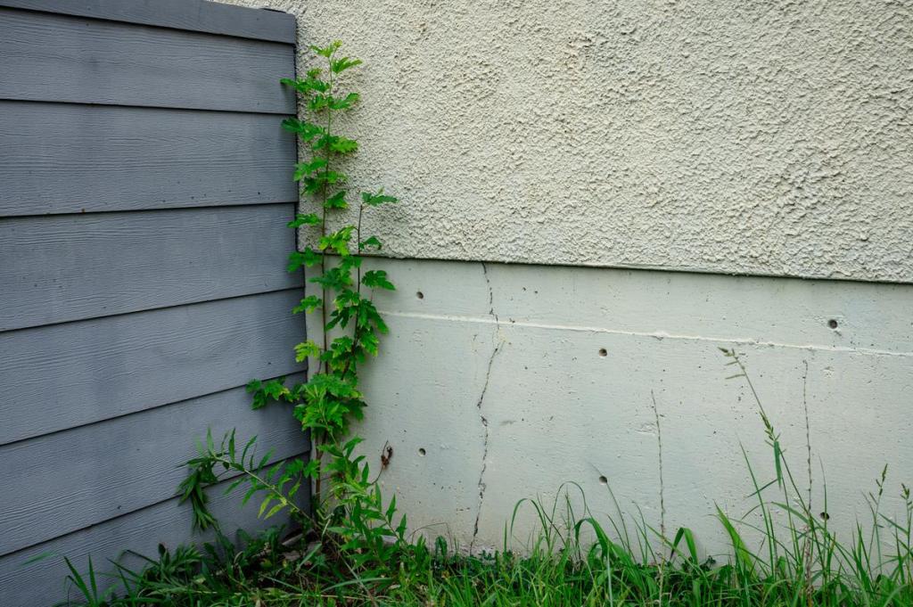 Oklahoma’s soil can wreak havoc on your home foundation. Save yourself the headache. 