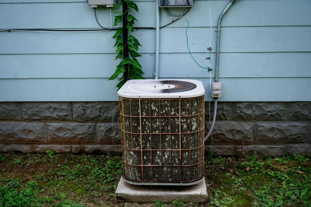 These resources will help you beat the heat and your electric bills this summer