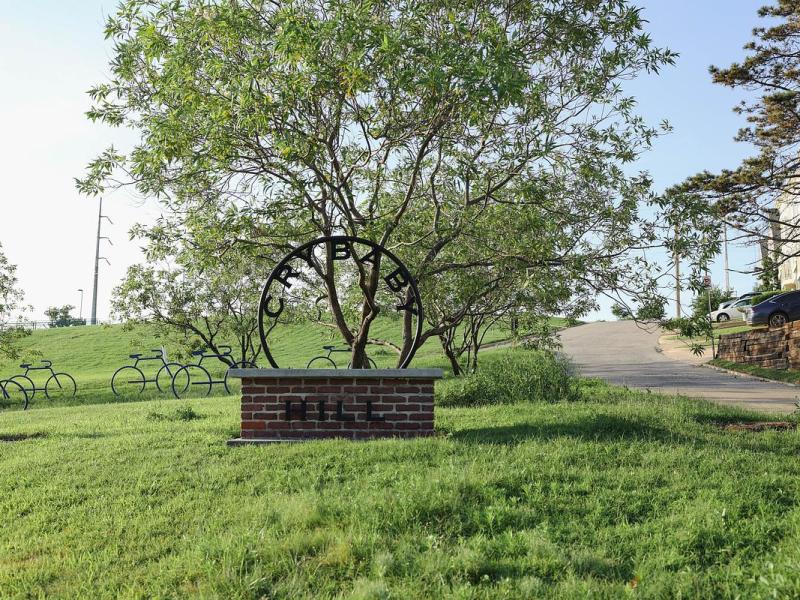 Cry Baby housing? Tulsa wants to build on the hill and other vacant properties across the city
