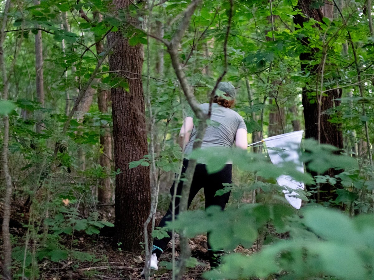 Broken Arrow nature center trains citizen scientists to preserve firefly magic