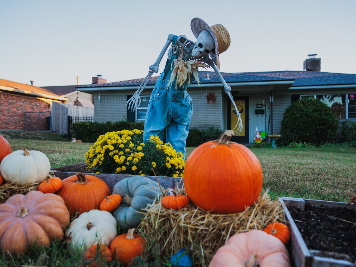 5 ways to spend your weekend in Tulsa Oct. 23-25