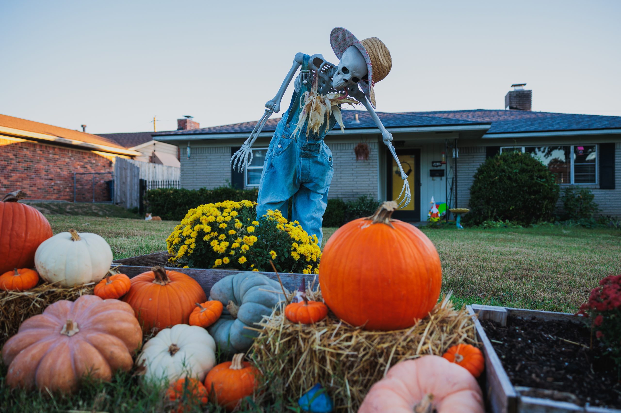 5 ways to spend your weekend in Tulsa Oct. 23-25