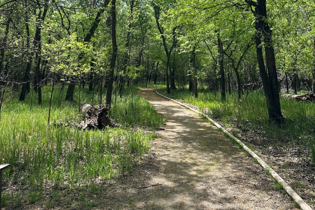 Extreme heat kept Tulsans away from parks, golf courses and the zoo